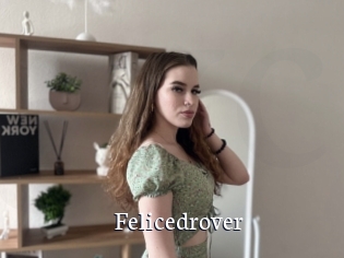 Felicedrover