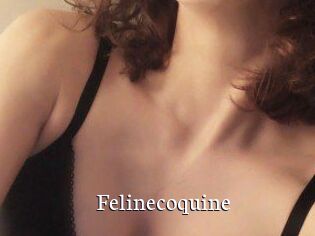 Felinecoquine