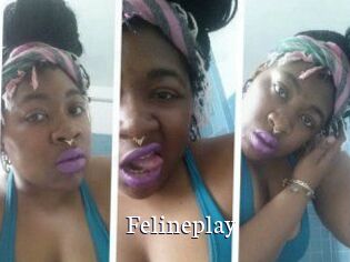 Felineplay