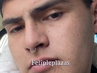 Felipleplazas