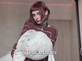 Felixwinter
