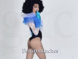 Fenixteninches