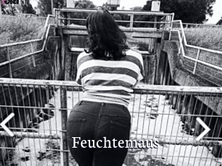 Feuchtemaus