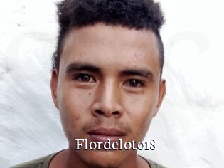 Flordeloto18
