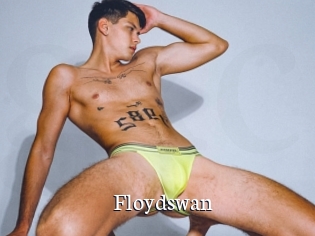 Floydswan