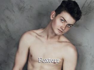 Foxterr