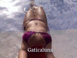 Gaticaluna
