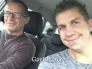 Gayfunguys