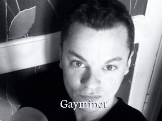 Gayminet
