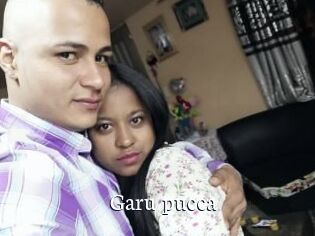 Garu_pucca