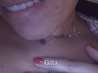 gata Gratis xxx Clips