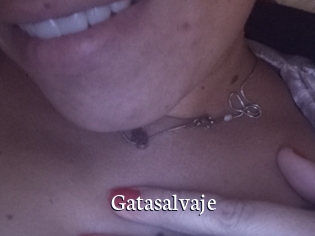 Gatasalvaje