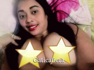 Gaticafiera