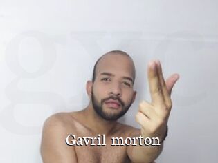Gavril_morton