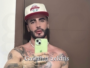gawainn_zeldris Gratis xxx Clips