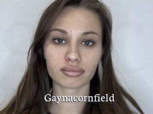 Gaynacornfield