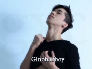Ginobadboy