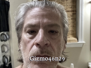 Gizmo46n29