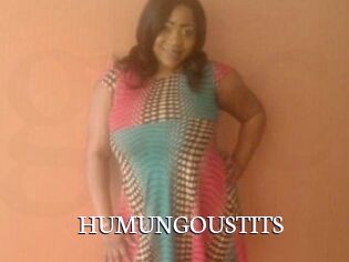 HUMUNGOUSTITS