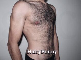 HairyBunny