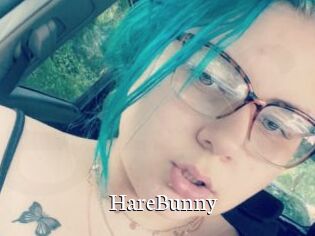 HareBunny