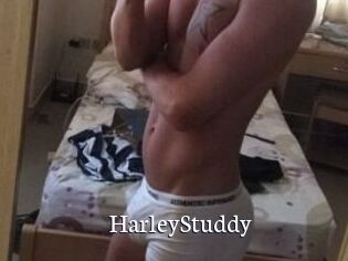 HarleyStuddy