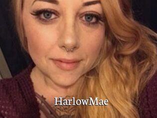 HarlowMae