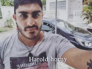 Harold_horny