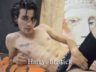 Harrys_bigstick Gratis xxx Clips