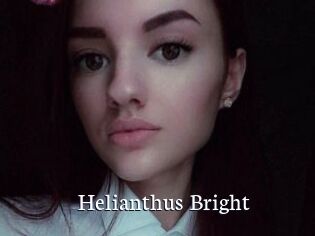 Helianthus_Bright