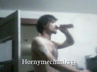 Hornymechanic334