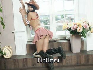 HotInsu