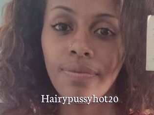 Hairypussyhot20