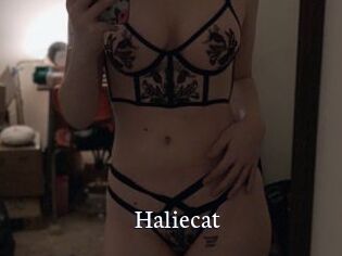 Haliecat
