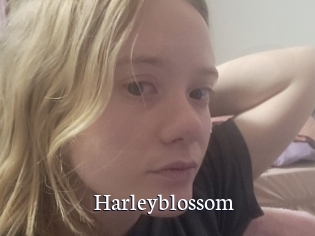 Harleyblossom