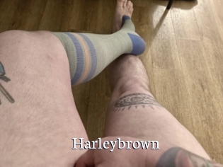 Harleybrown