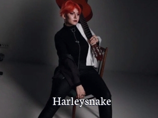 Harleysnake