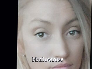 Harlowrose