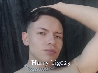 Harry_big029