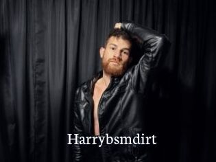 Harrybsmdirt