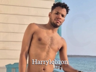 Harrylebron