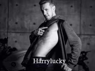 Harrylucky