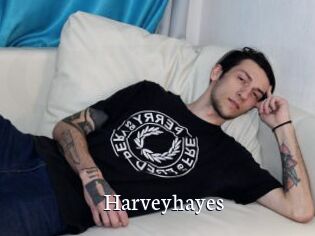 Harveyhayes