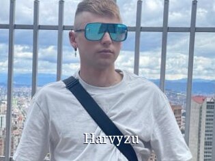 Harvyzu