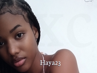 Haya23