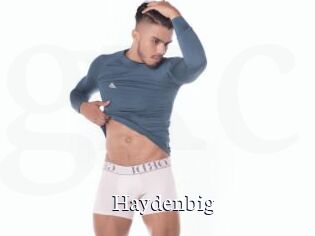 Haydenbig