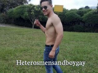 Heterosmensandboygay