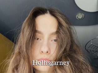 Hollisgarney