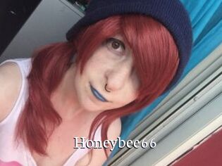 Honeybee66