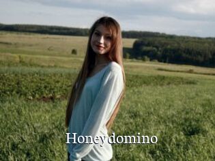 Honeydomino